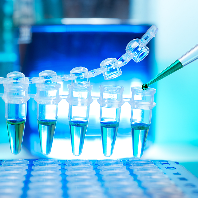 N,N’-雙(3-氨丙基)-乙撐二胺(N4胺)CAS No:10563-26-5，高性能環(huán)氧固化劑應用于復合材料