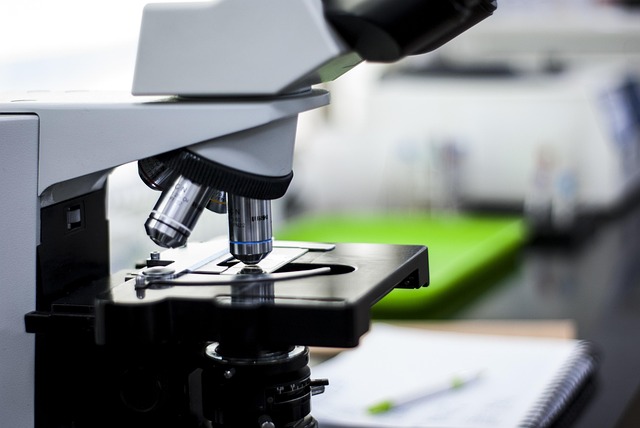 活性凝膠類催化劑,廣泛應用于鞋底、工業腳輪和汽車零部件